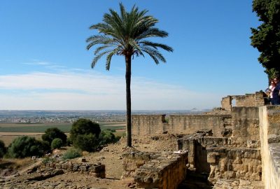 Palmier dans le fouilles de Madinat Al-Zahra. Photo © André M. Winter