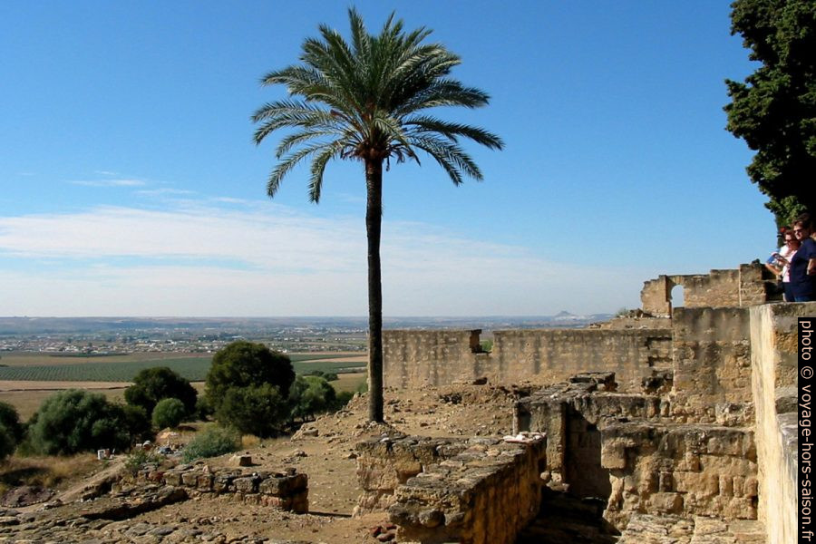 Palmier dans le fouilles de Madinat Al-Zahra. Photo © André M. Winter