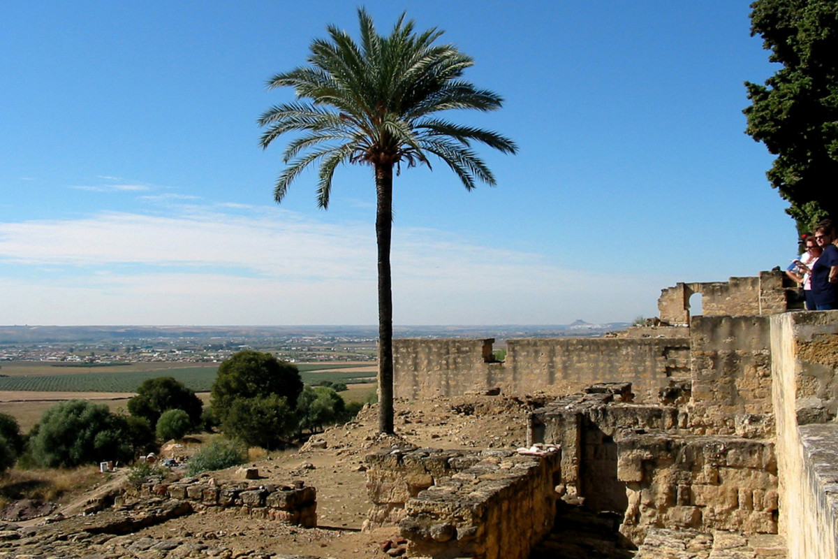 Palmier dans le fouilles de Madinat Al-Zahra. Photo © André M. Winter