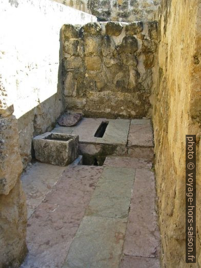 Toilette arabe du 10e siècle. Photo © Alex Medwedeff