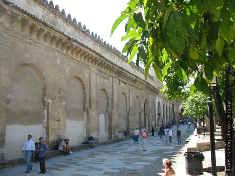 Patio de las Naranjos de Córdoba. Photo © André M. Winter