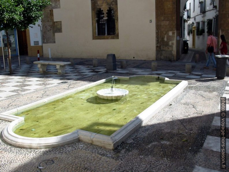 Bassin d'eau près de la synagogue de Córdoba. Photo © Alex Medwedeff