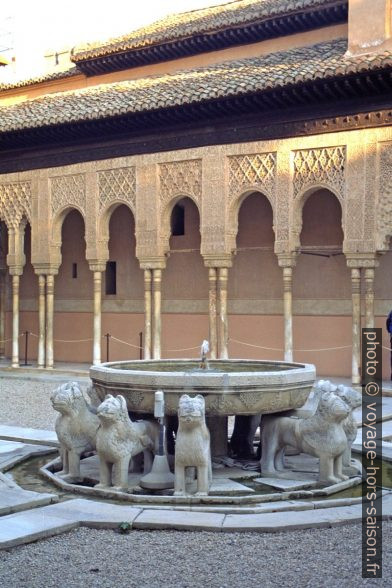 La fontaine du Patio de los Leones. Photo © Alex Medwedeff