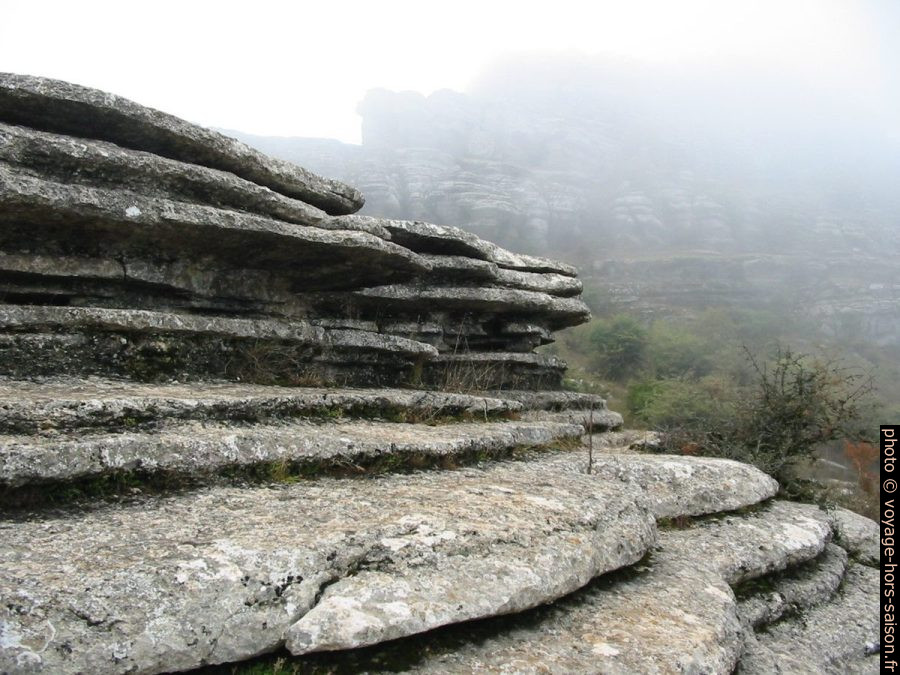 Détail des formations calcaire à El Torcal. Photo © Alex Medwedeff