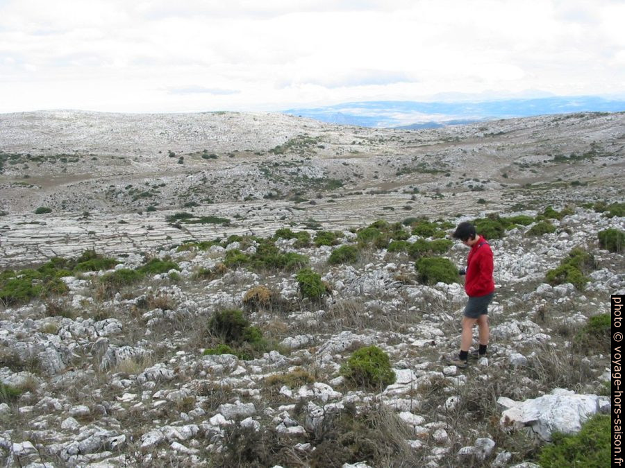 Alex dans la Sierra Subbética. Photo © André M. Winter