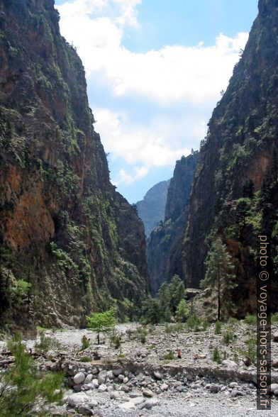 Végétation dans la partie centrale des Gorges de Samaria. Photo © André M. Winter