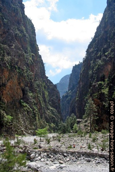 Végétation dans la partie centrale des Gorges de Samaria. Photo © André M. Winter
