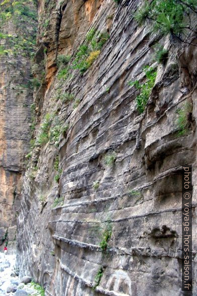 Paroi rabotée des Gorges de Samaria. Photo © André M. Winter