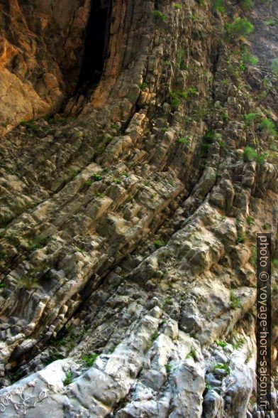 Plis de la roche calcaire dans les Gorges de Samaria. Photo © André M. Winter