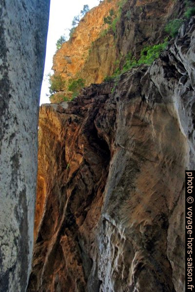 Vue vers le haut dans la Porte de Fer. Photo © André M. Winter