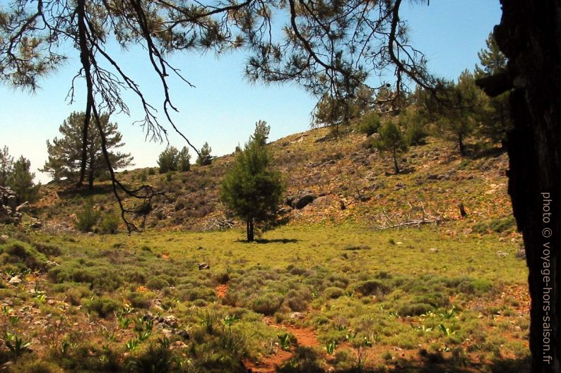 Petit poljé avec un peu de verdure. Photo © André M. Winter