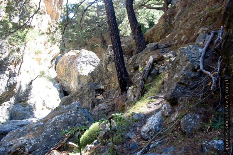 Contournement par la droite d'une partie raide dans les Gorges de Tripiti. Photo © André M. Winter