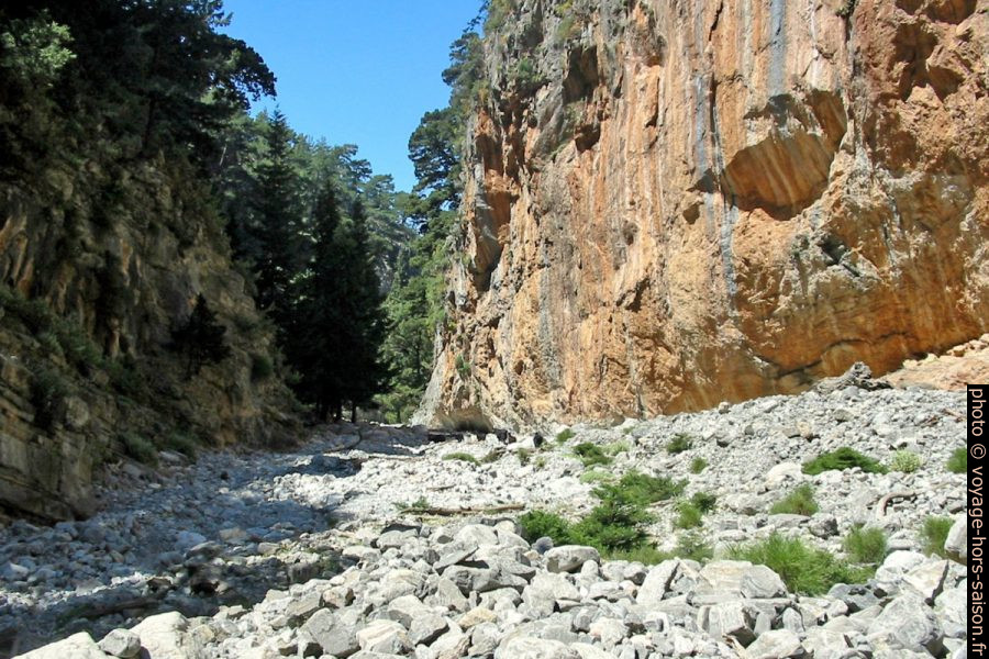Des chèvres noires dans les Gorges de Tripiti. Photo © André M. Winter
