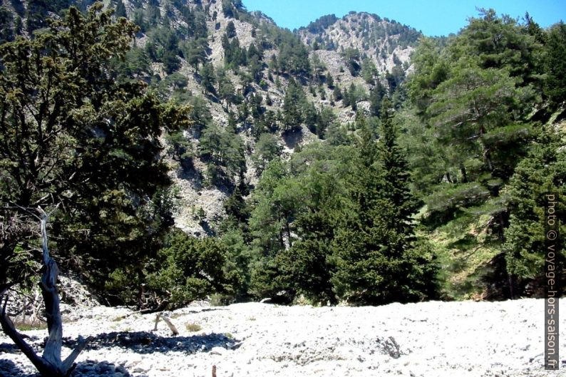 Elargissement des Gorges de Tripiti vers 650 mètres d'altitude. Photo © André M. Winter