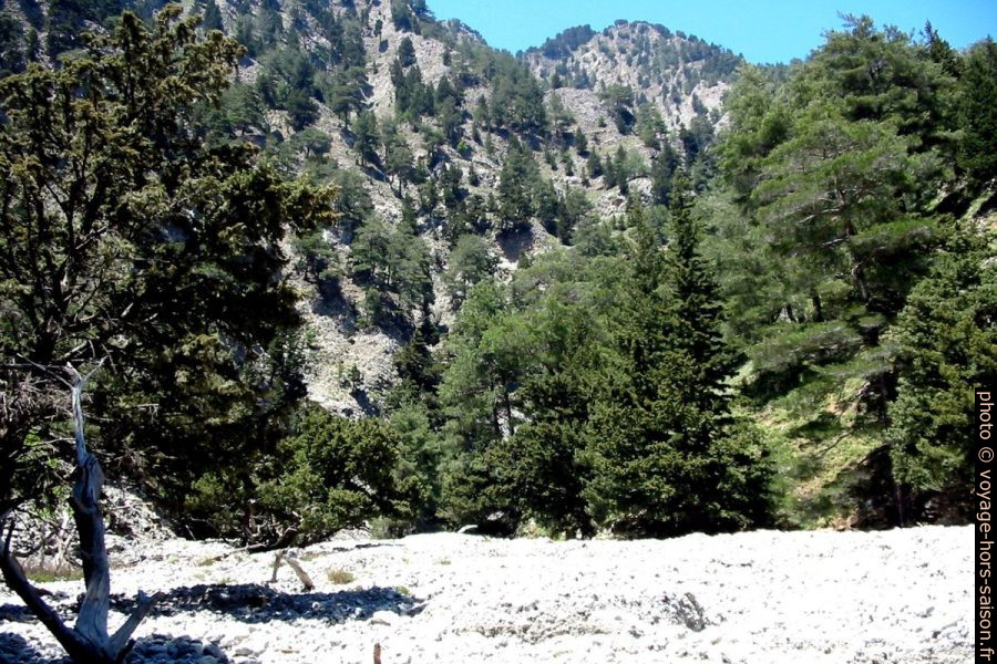 Elargissement des Gorges de Tripiti vers 650 mètres d'altitude. Photo © André M. Winter