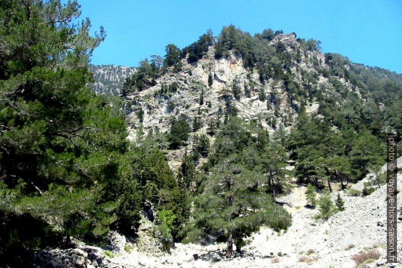 Bifurcation dans les Gorges de Tripiti vers 780 mètres d'altitude. Photo © André M. Winter