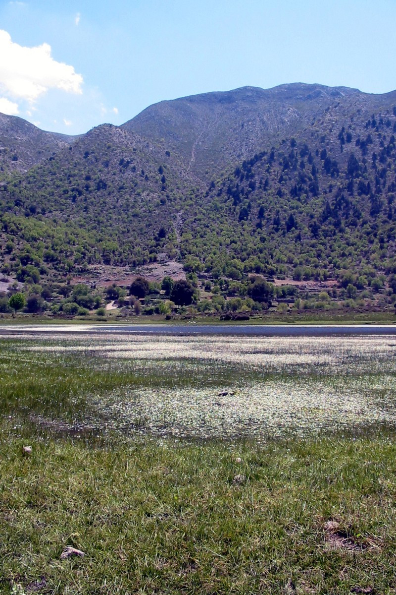 Lac dans le poljé d'Omalos. Photo © André M. Winter
