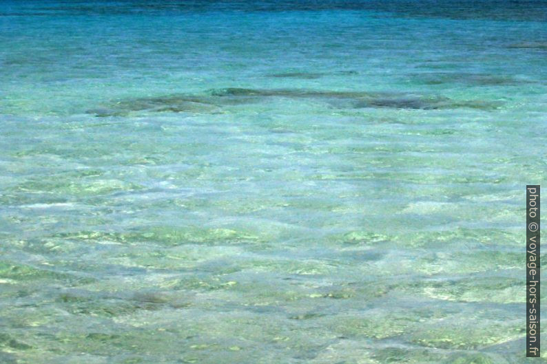 L'eau turquoise de la presqu'île d'Elafonisi. Photo © André M. Winter