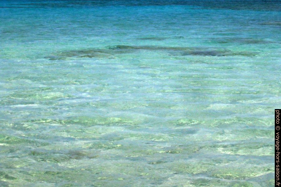 L'eau turquoise de la presqu'île d'Elafonisi. Photo © André M. Winter