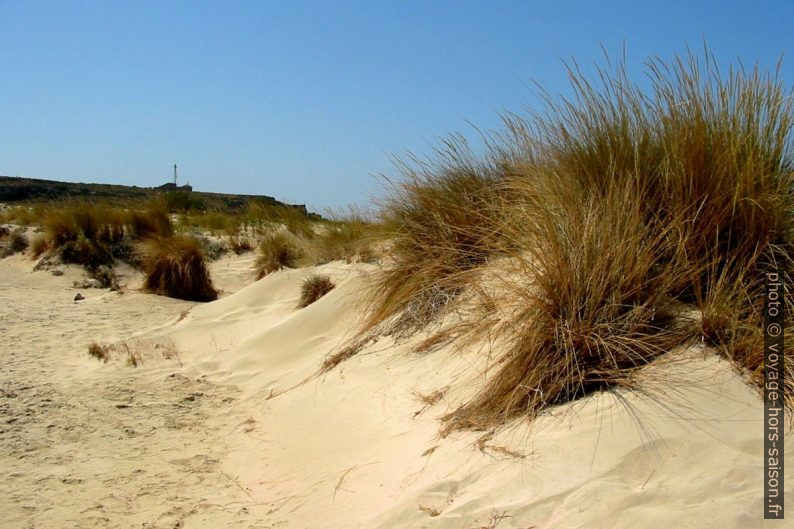 Dunes sur la presqu'île d'Elafonisi. Photo © André M. Winter