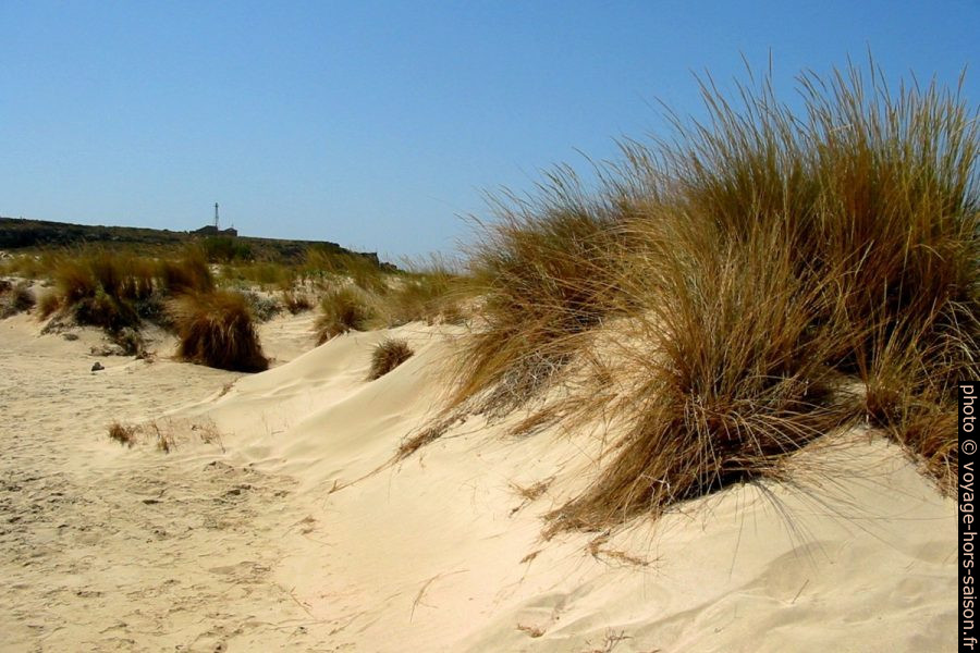 Dunes sur la presqu'île d'Elafonisi. Photo © André M. Winter