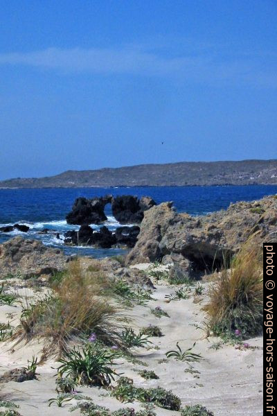 Rochers volcaniques sur la presqu'île d'Elafonisi. Photo © André M. Winter