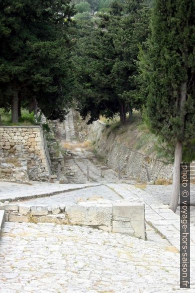 La rue sacrée de Cnossos. Photo © André M. Winter