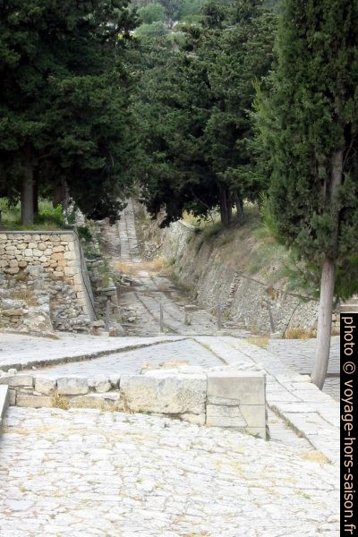 La rue sacrée de Cnossos. Photo © André M. Winter