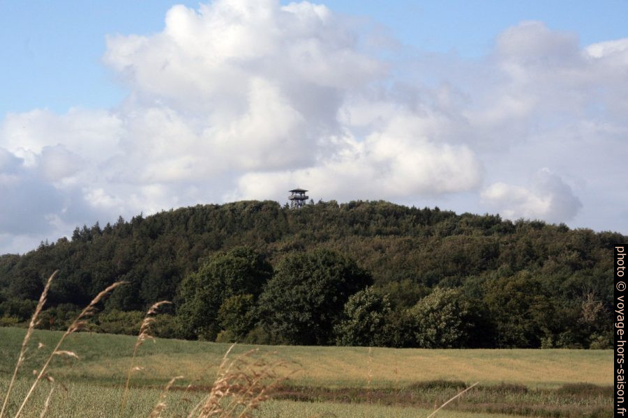 La colline Holzberg avec la tour. Photo © André M. Winter