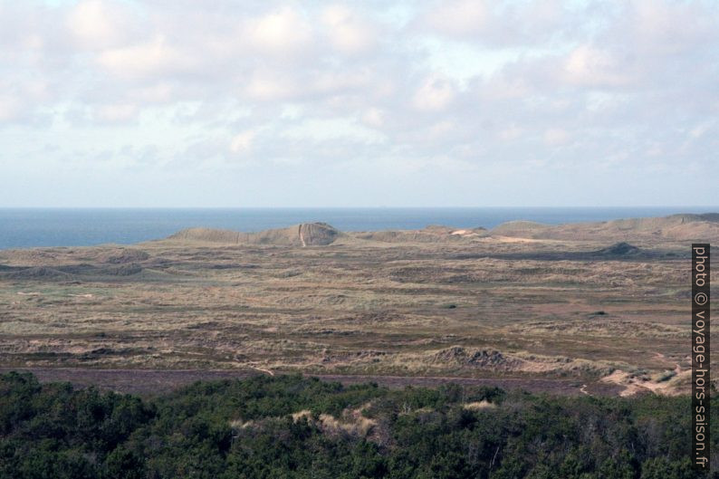 Lande dunaire du parc national de Thy. Photo © André M. Winter