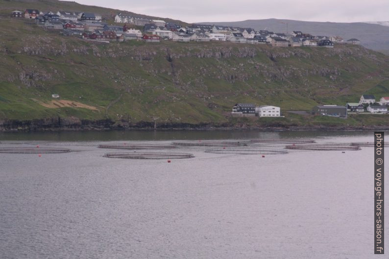 Aquaculture en mer devant Argir près de Tórshavn. Photo © André M. Winter
