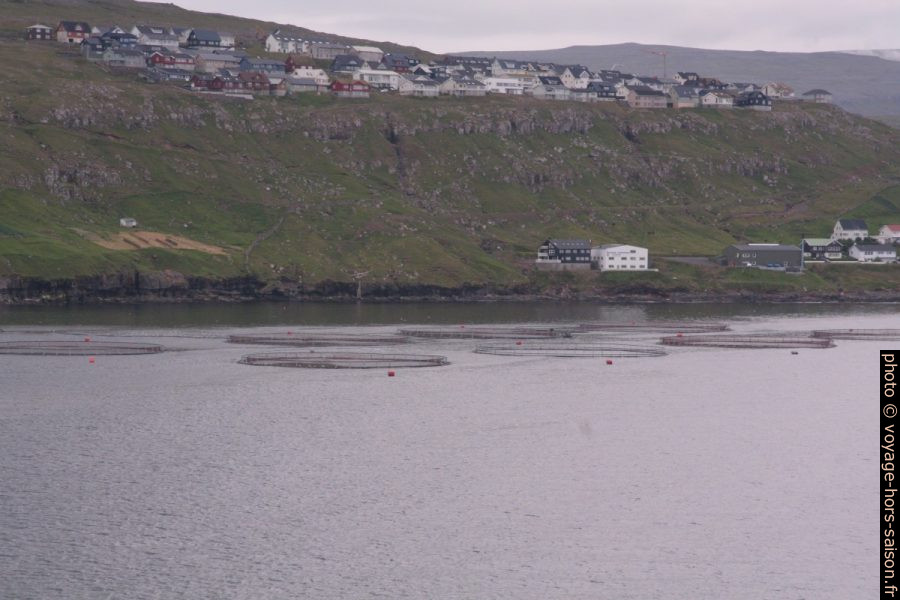 Aquaculture en mer devant Argir près de Tórshavn. Photo © André M. Winter