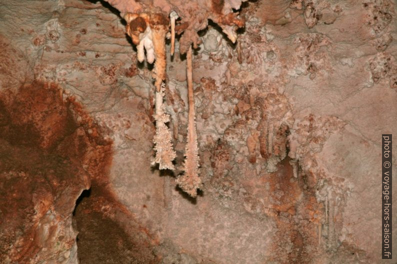 Excentriques dans la Grotte de Toirano. Photo © André M. Winter