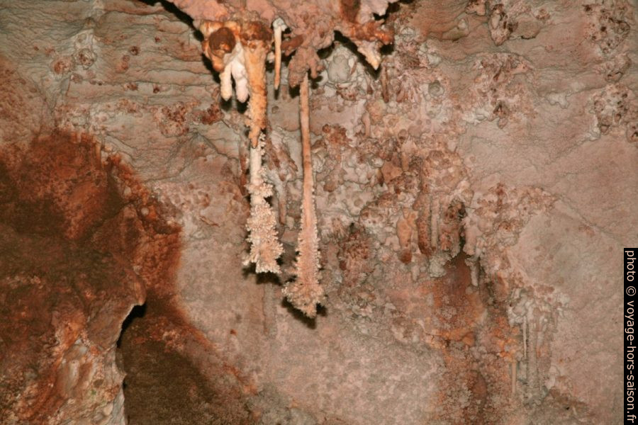 Excentriques dans la Grotte de Toirano. Photo © André M. Winter