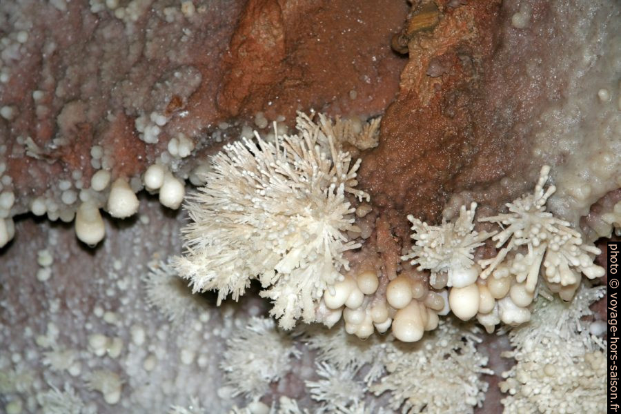 Cristaux calcaires sur les parois de la Grotte de Toirano. Photo © André M. Winter