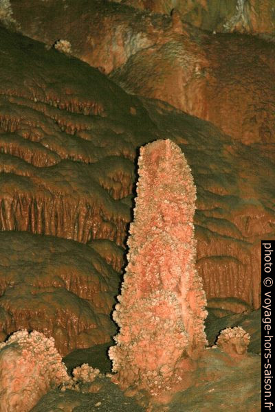 Stalagmite couverte de concrétions en choux-fleur dans la Grotte de Toirano. Photo © André M. Winter