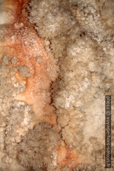 Cristaux calcaires sur les parois de la Grotte de Toirano. Photo © André M. Winter