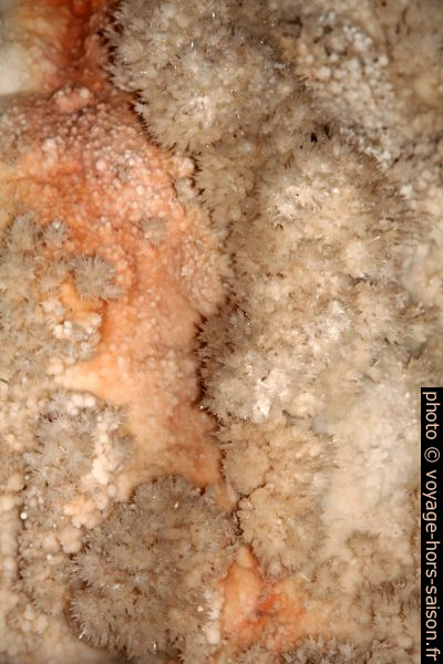 Cristaux calcaires sur les parois de la Grotte de Toirano. Photo © André M. Winter