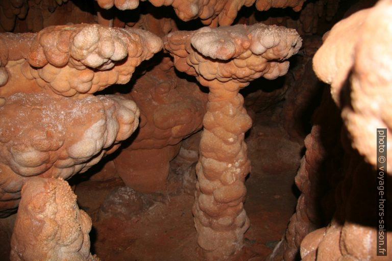 Stalagmites couvertes de concrétions additionnelles dans la Grotte de Toirano. Photo © André M. Winter