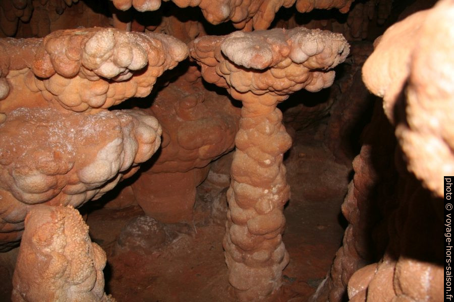 Stalagmites couvertes de concrétions additionnelles dans la Grotte de Toirano. Photo © André M. Winter