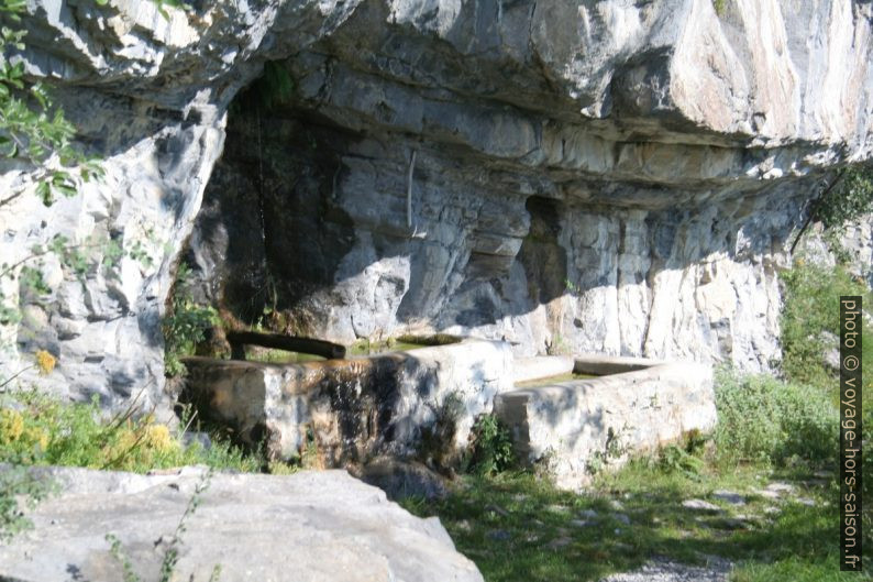 Source sous le versant est du Mont Peïrevieille. Photo © André M. Winter