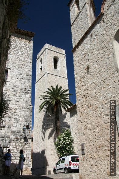 Clocher de l'église de Saint-Paul avec un palmier. Photo © André M. Winter