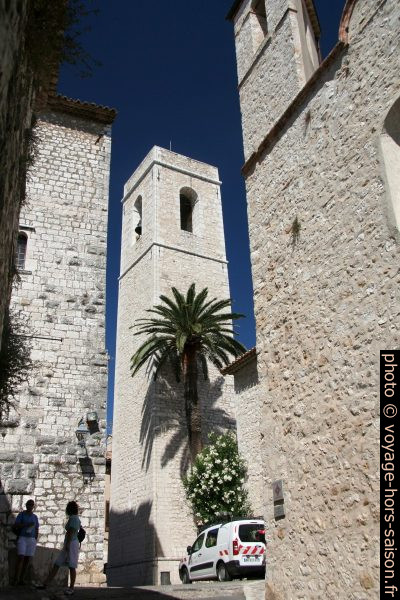Clocher de l'église de Saint-Paul avec un palmier. Photo © André M. Winter