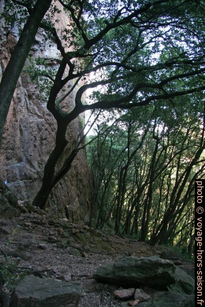 Au pied de la paroi rocheuse dans les Gorges du Blavet. Photo © André M. Winter