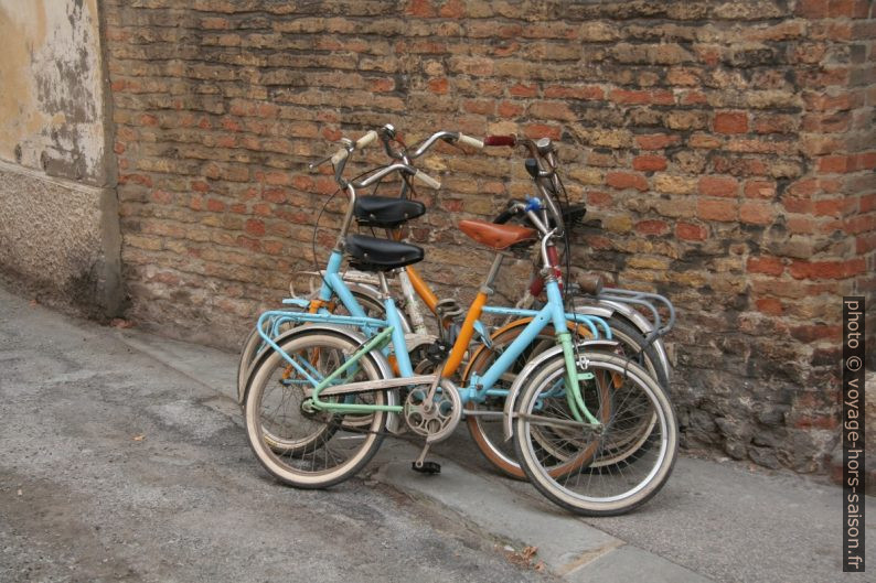 Vélos pliables colorés. Photo © André M. Winter