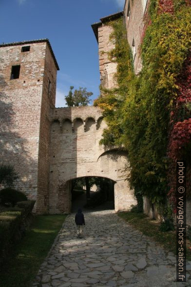 Passage du le jardin botanique de San Pietro. Photo © André M. Winter