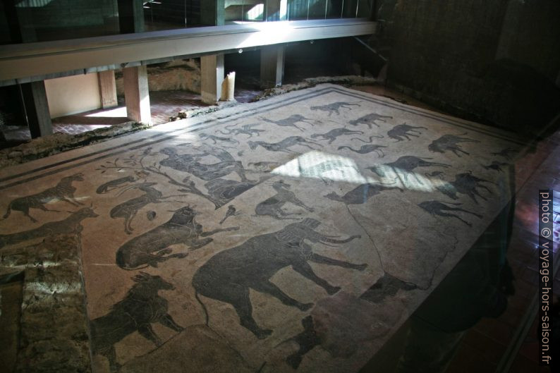 Mosaico Romano di Santa Elisabetta. Photo © André M. Winter