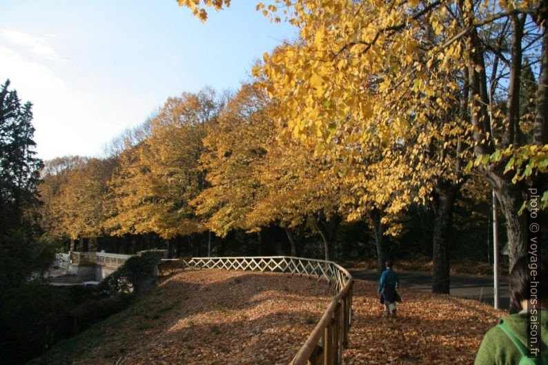 Les arbres aux couleurs de l'automne. Photo © André M. Winter