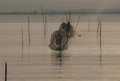 Nasses au Lago Trasimeno. Photo © Alex Medwedeff