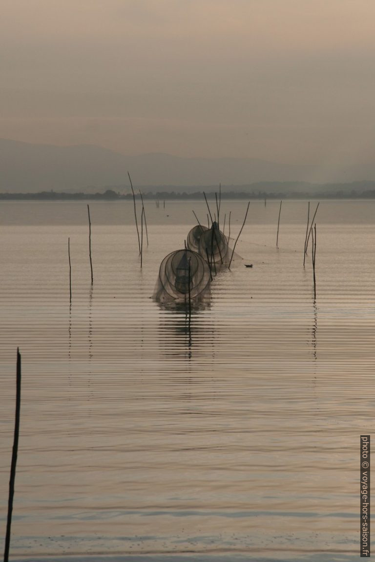 Nasses au Lago Trasimeno. Photo © Alex Medwedeff